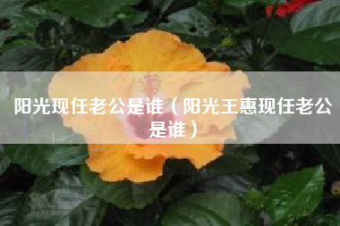 阳光现任老公是谁（阳光王惠现任老公是谁）