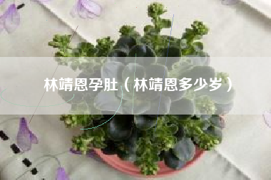 林靖恩孕肚（林靖恩多少岁）