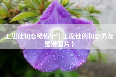 王思佳初恋杨佑宁（王思佳的初恋男友是谁图片）