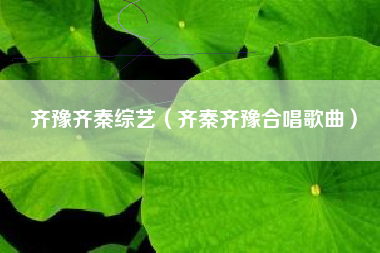齐豫齐秦综艺（齐秦齐豫合唱歌曲）
