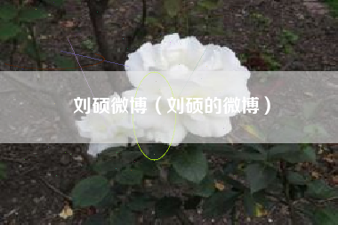 刘硕微博（刘硕的微博）