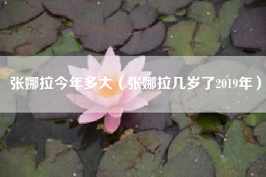 张娜拉今年多大（张娜拉几岁了2019年）