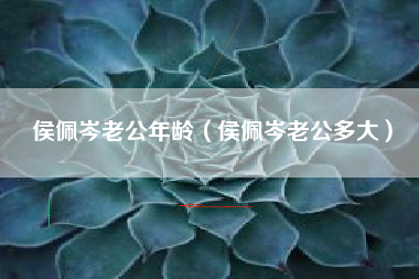 侯佩岑老公年龄（侯佩岑老公多大）
