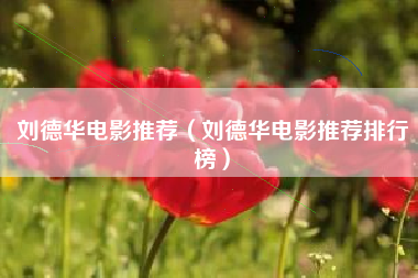 刘德华电影推荐（刘德华电影推荐排行榜）