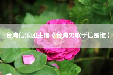 台湾信乐团主唱（台湾男歌手信是谁）