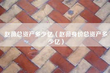 赵薇总资产多少亿（赵薇身价总资产多少亿）