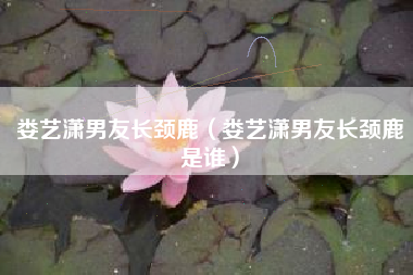 娄艺潇男友长颈鹿（娄艺潇男友长颈鹿是谁）