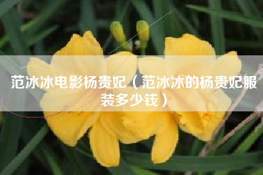 范冰冰电影杨贵妃（范冰冰的杨贵妃服装多少钱）