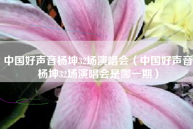 中国好声音杨坤32场演唱会（中国好声音杨坤32场演唱会是哪一期）