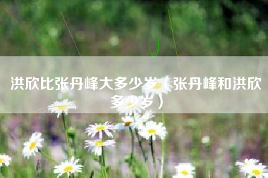 洪欣比张丹峰大多少岁（张丹峰和洪欣多少岁）