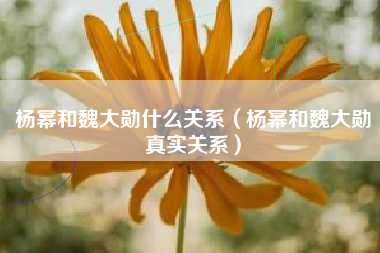 杨幂和魏大勋什么关系（杨幂和魏大勋真实关系）