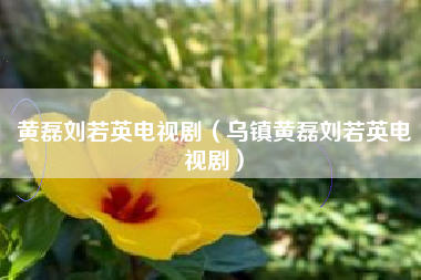 黄磊刘若英电视剧（乌镇黄磊刘若英电视剧）