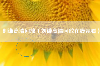 刘谦高清回放（刘谦高清回放在线观看）