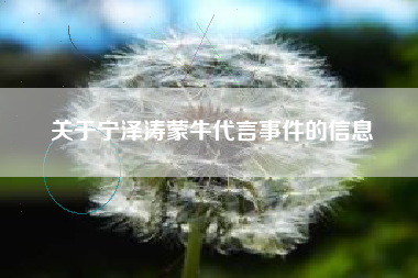关于宁泽涛蒙牛代言事件的信息