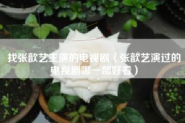 找张歆艺主演的电视剧（张歆艺演过的电视剧哪一部好看）