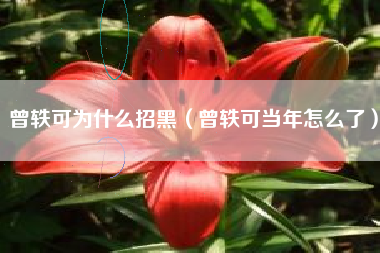 曾轶可为什么招黑（曾轶可当年怎么了）