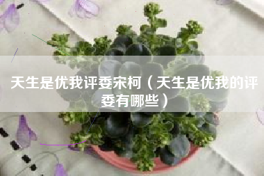 天生是优我评委宋柯（天生是优我的评委有哪些）