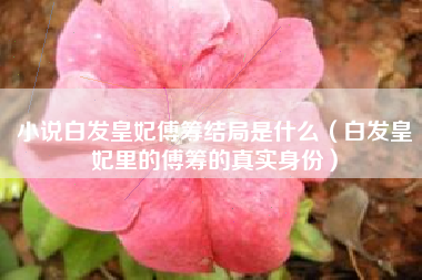 小说白发皇妃傅筹结局是什么（白发皇妃里的傅筹的真实身份）