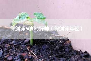 保剑锋20岁时好帅（保剑锋年轻）