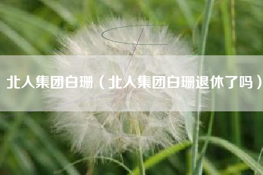 北人集团白珊（北人集团白珊退休了吗）