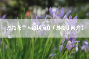 孙绍龙个人资料简介（孙绍丁简介）
