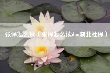 张译怎么读（张译怎么读duo湖北社保）