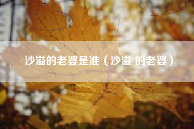 沙溢的老婆是准（沙溢 的老婆）