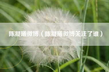 陈凝曦微博（陈凝曦微博关注了谁）