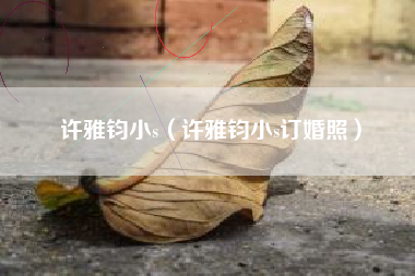 许雅钧小s（许雅钧小s订婚照）