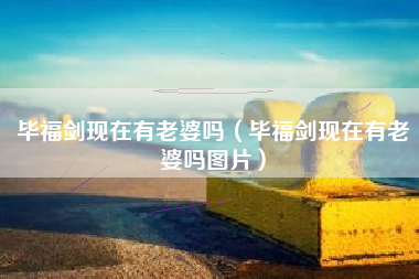 毕福剑现在有老婆吗（毕福剑现在有老婆吗图片）