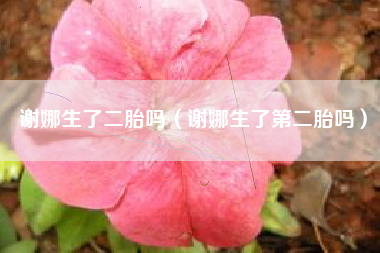 谢娜生了二胎吗（谢娜生了第二胎吗）