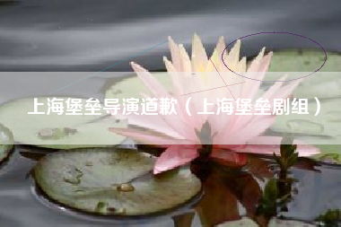 上海堡垒导演道歉（上海堡垒剧组）