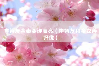 崔智友金泰熙谁漂亮（崔智友和金喜善好像）