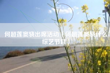 何超莲窦骁出席活动（何超莲窦骁什么综艺节目）