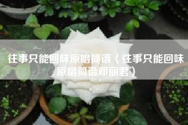 往事只能回味原唱简谱（往事只能回味原唱简谱邓丽君）