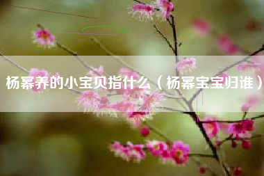 杨幂养的小宝贝指什么（杨幂宝宝归谁）