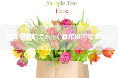 潘玮柏演唱会2019（潘玮柏演唱会2023）