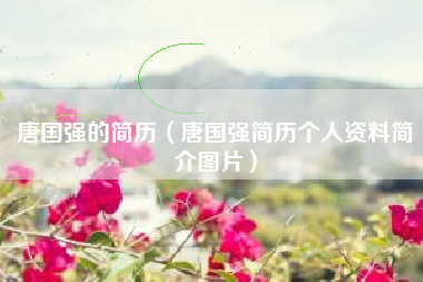 唐国强的简历（唐国强简历个人资料简介图片）