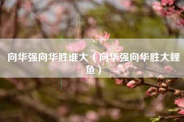 向华强向华胜谁大（向华强向华胜大鲤鱼）