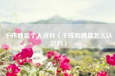 于玮魏晨个人资料（于玮和魏晨怎么认识的）