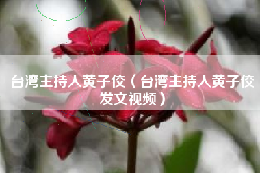台湾主持人黄子佼（台湾主持人黄子佼发文视频）