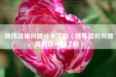 陈伟霆和何穗分手了吗（陈伟霆和何穗真的在一起了吗）