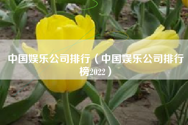 中国娱乐公司排行（中国娱乐公司排行榜2022）