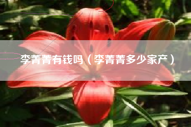 李菁菁有钱吗（李菁菁多少家产）