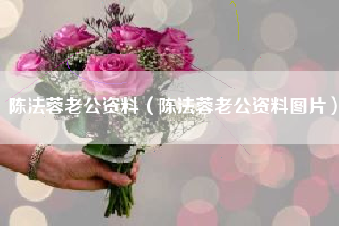 陈法蓉老公资料（陈法蓉老公资料图片）
