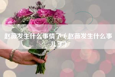 赵薇发生什么事情了（赵薇发生什么事儿了）