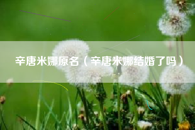 辛唐米娜原名（辛唐米娜结婚了吗）