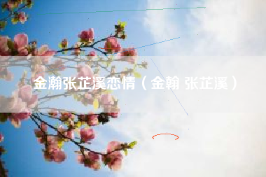 金瀚张芷溪恋情（金翰 张芷溪）