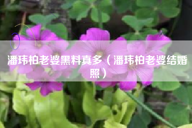 潘玮柏老婆黑料真多（潘玮柏老婆结婚照）