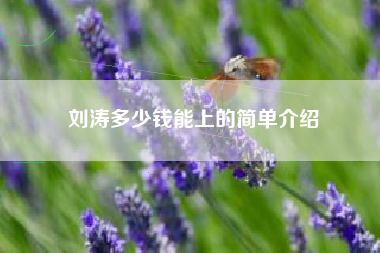 刘涛多少钱能上的简单介绍